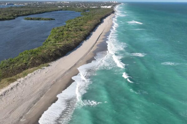 Poster for American Easter 2025